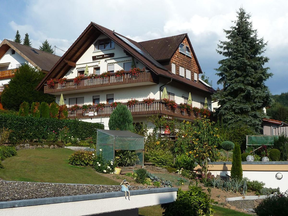 Pension Doris Ohlsbach Extérieur photo